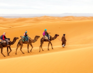 3-Day Private Tour Marrakech to Sahara Desert 3-Day Private Tour Marrakech to Sahara Desert