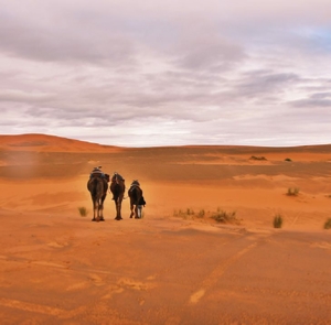 Tours from Errachidia Tours from Errachidia