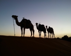 Trips Around Morocco Trips Around Morocco