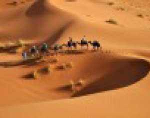 Trips Around Morocco Trips Around Morocco