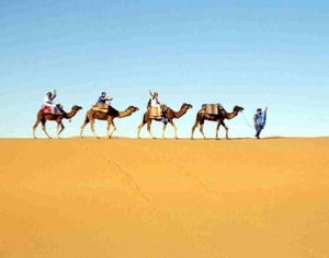 Trips Around Morocco