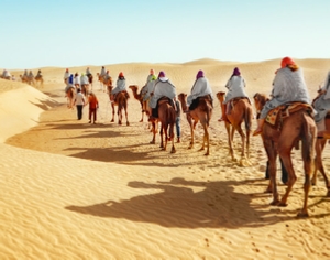 Trips Around Morocco Trips Around Morocco