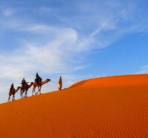 Trips Around Morocco