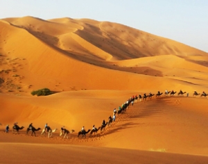 Trips Around Morocco Trips Around Morocco