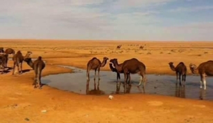 Trips Around Morocco, day trips and excursions Trips Around Morocco, day trips and excursions